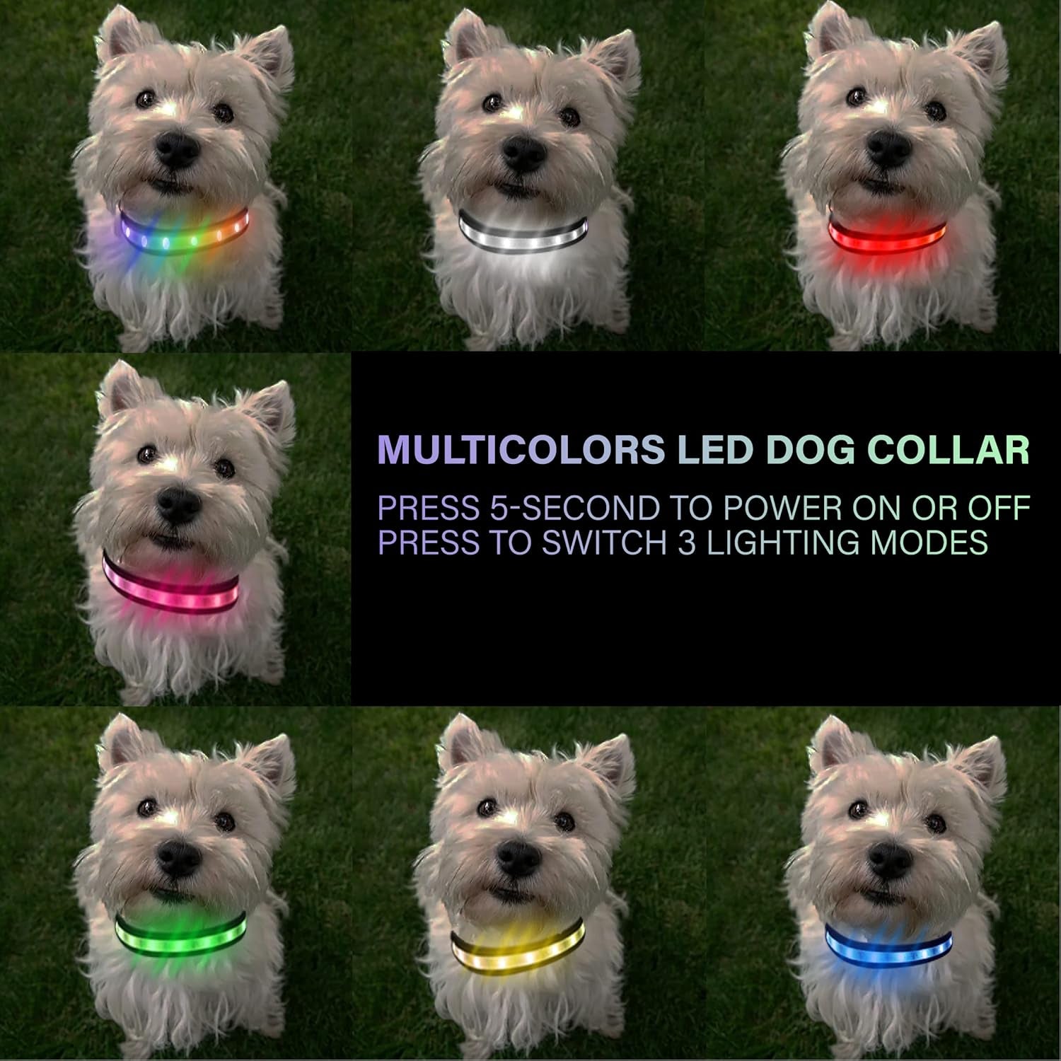 Light up Dog Collar - Multicolor LED Dog Collar with 3 Glow Modes, Rechargeable Glow in the Dark Dog Collars for Small, Medium & Large Dogs, 1000 Ft Visibility, IPX7 Waterproof (Black, S)