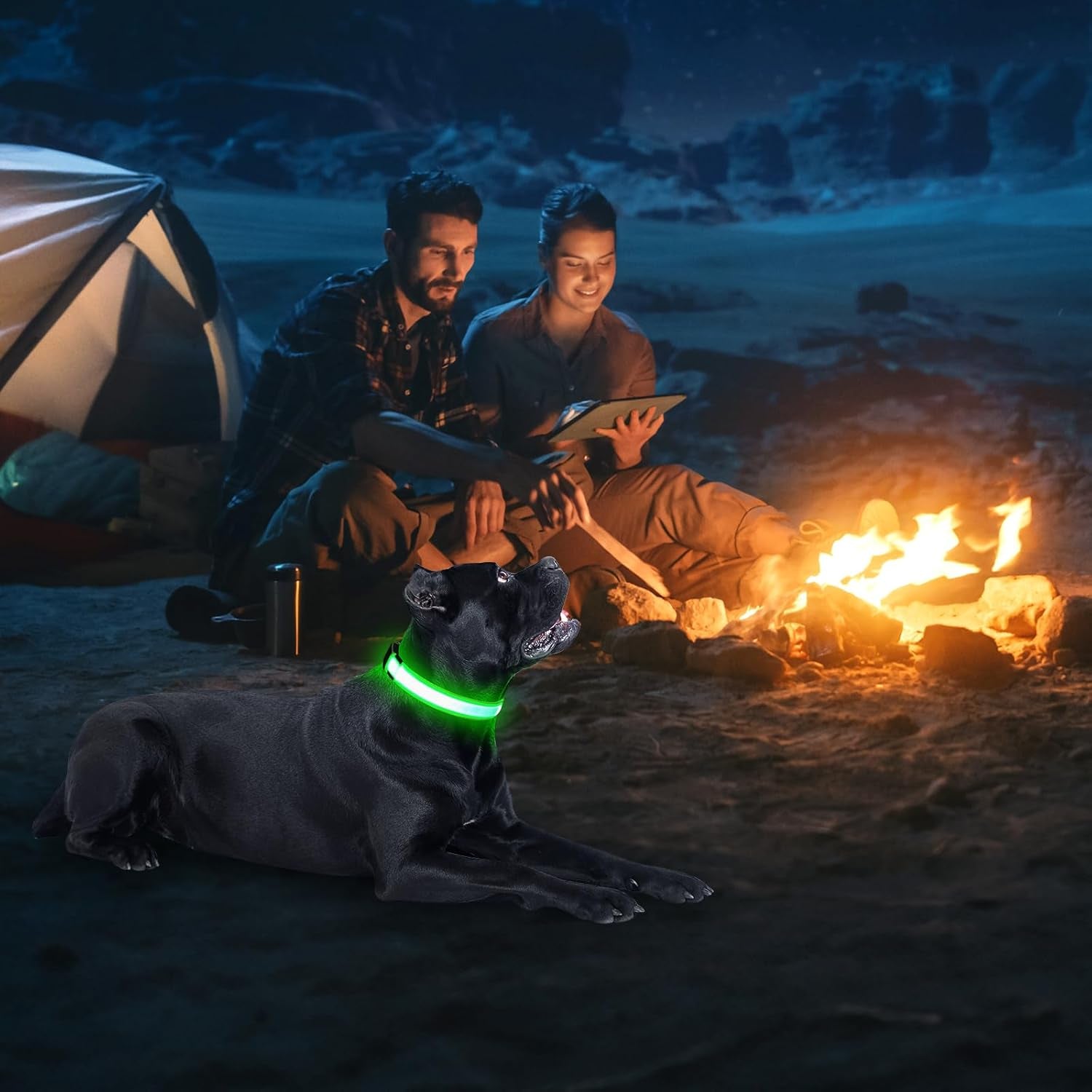 LED Dog Collar, USB Rechargeable Light up Dog Collars, Adjustable Glow Collars Safety Light for Small Medium Large Dogs (Green, Large)