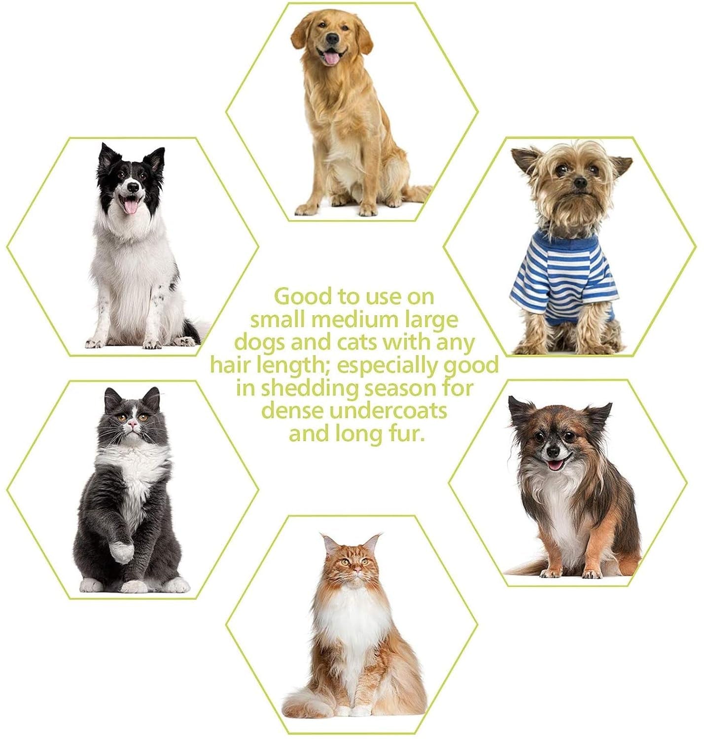 Self-Cleaning Slicker Brush for Long and Short Haired Dogs, Cats, and Shedding Control - Large and Versatile Grooming Tool